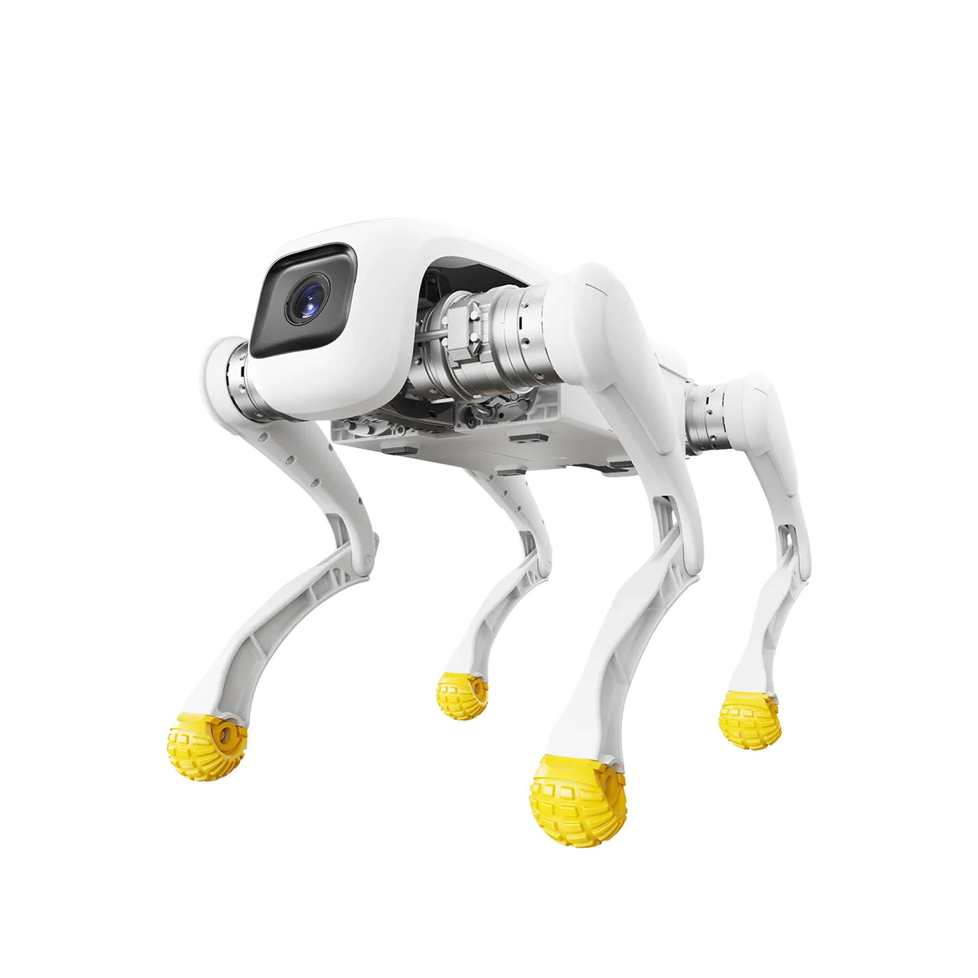 AgiBot D1 Edu